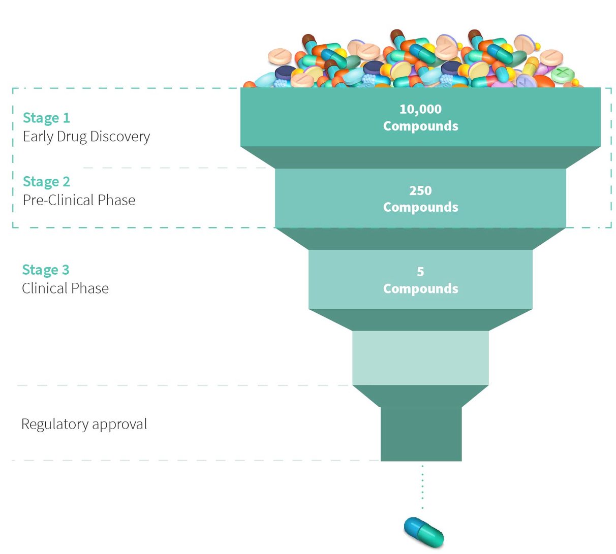 The Drug Discovery Process What Is It and Its Major Steps